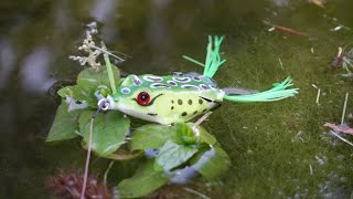 how to use a topwater frog lure