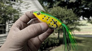 knot for topwater frog