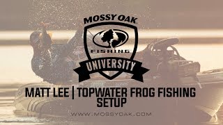 fishing with frogs